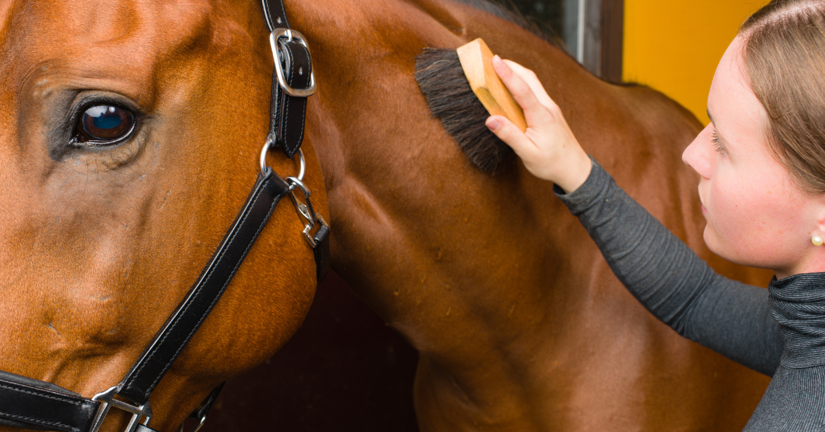 Mon cheval et moi sommes bloqués : Comment casser les cercles vicieux ?