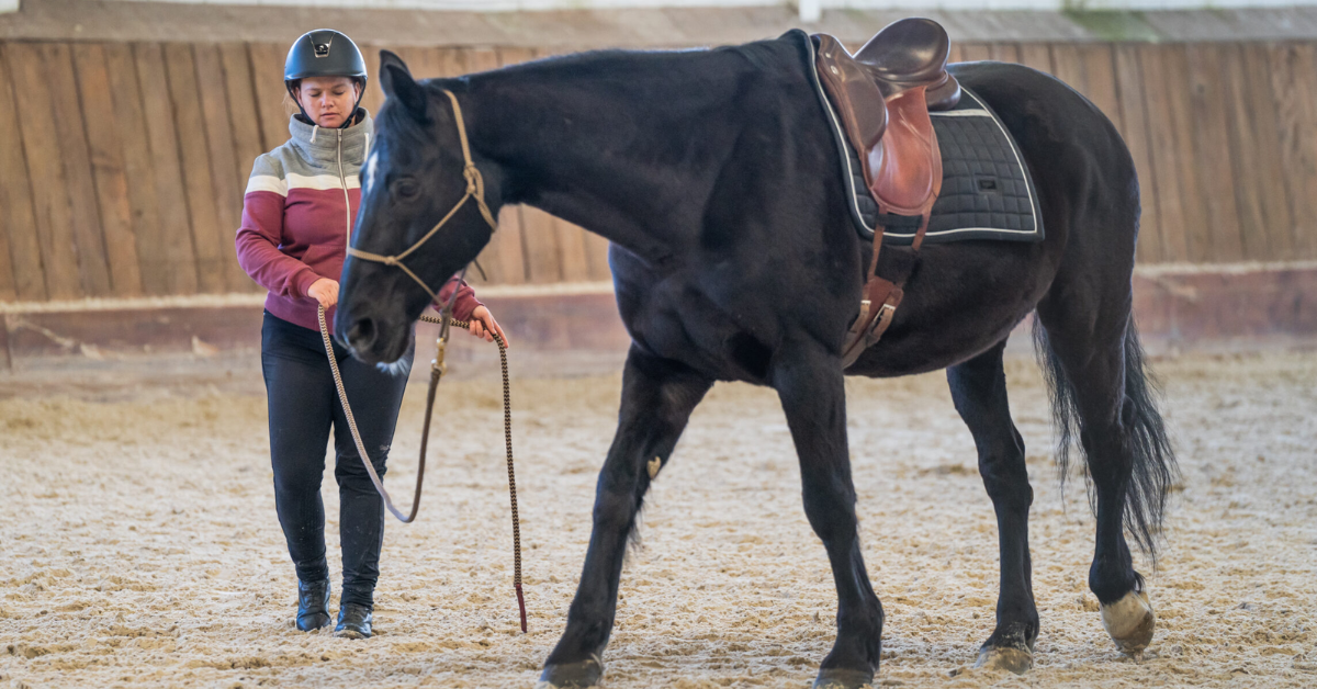 Pourquoi je ne fais pas d’équitation éthologique