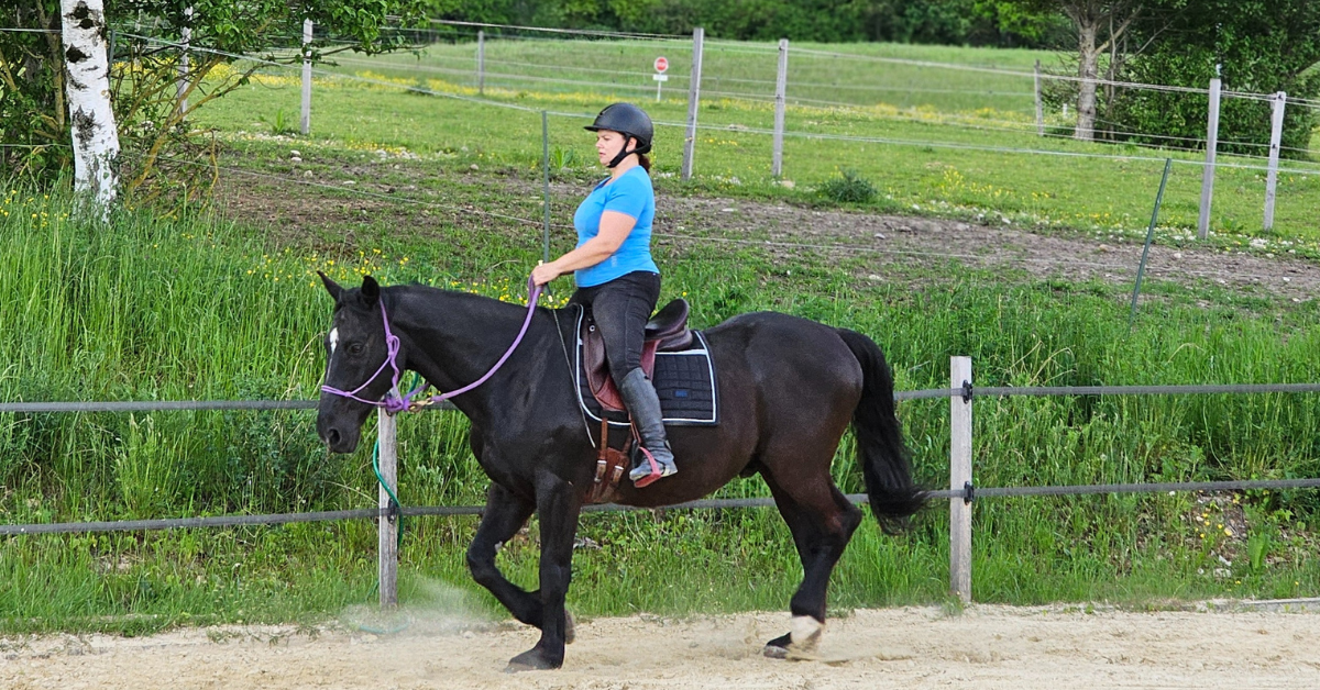 5 raisons d’utiliser notre posture pour communiquer avec nos chevaux