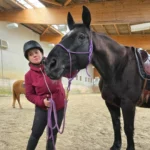 Horse Insight - Audrey Delaspre